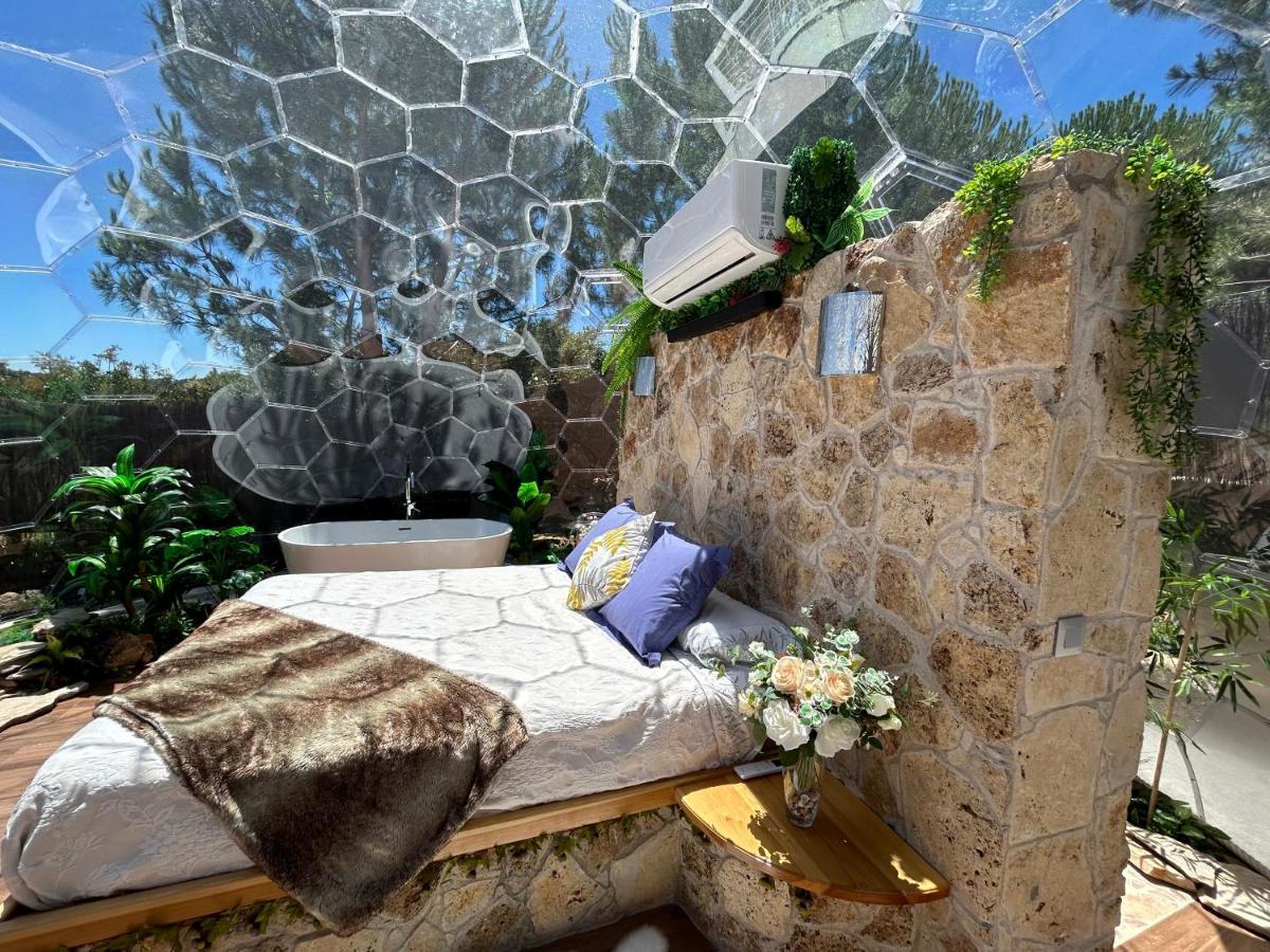 Skd Suite Garnacha Ávila Exteriér fotografie